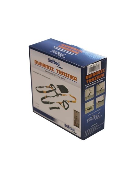 ≫Dynamic Trainer SOFTEE