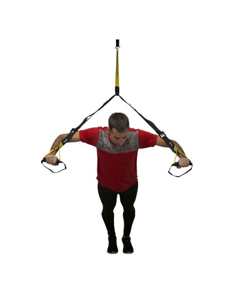 ≫Dynamic Trainer SOFTEE